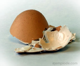 Cáscara de huevo es un ejemplo de basura orgánica.