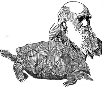Darwin, padre biología