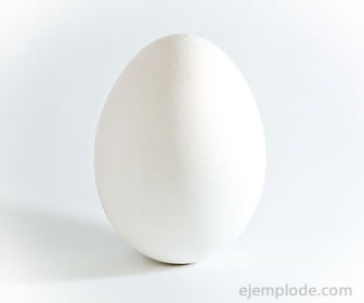 Huevo blanco de gallina