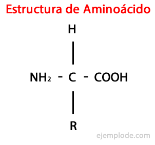 Ejemplo de Aminoácido