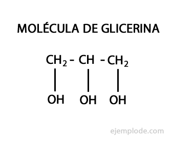 Molécula de Glicerina, base estructural de muchas grasas