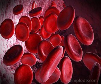 La Hemoglobina transporta oxigeno en la sangre