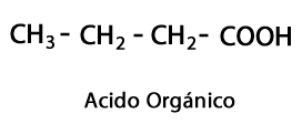 Molécula Orgánica Ácido