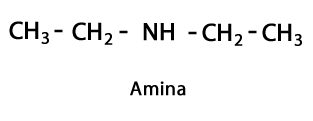 Molécula Orgánica Amina