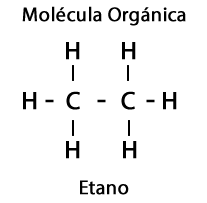 Ejemplo de Molécula Orgánica