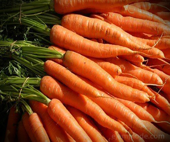 Caroteno en Zanahorias