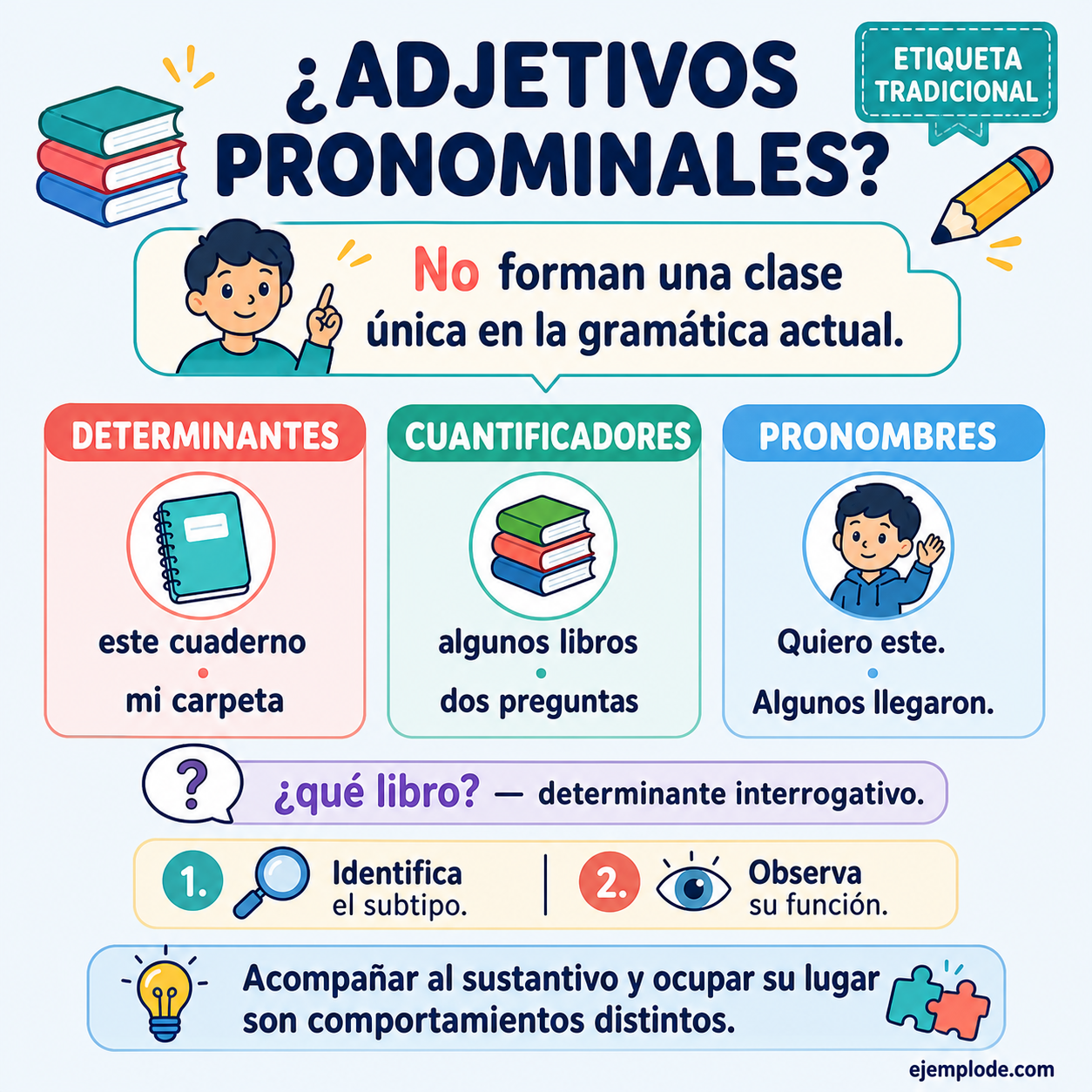 Infografía educativa sobre Adjetivos pronominales con ejemplos y claves de reconocimiento