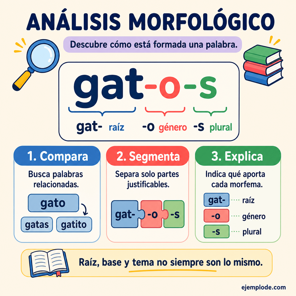 Infografía educativa sobre Análisis morfológico con ejemplos y claves de reconocimiento