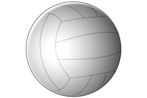 Características del voleibol, pelota Características del voleibol
