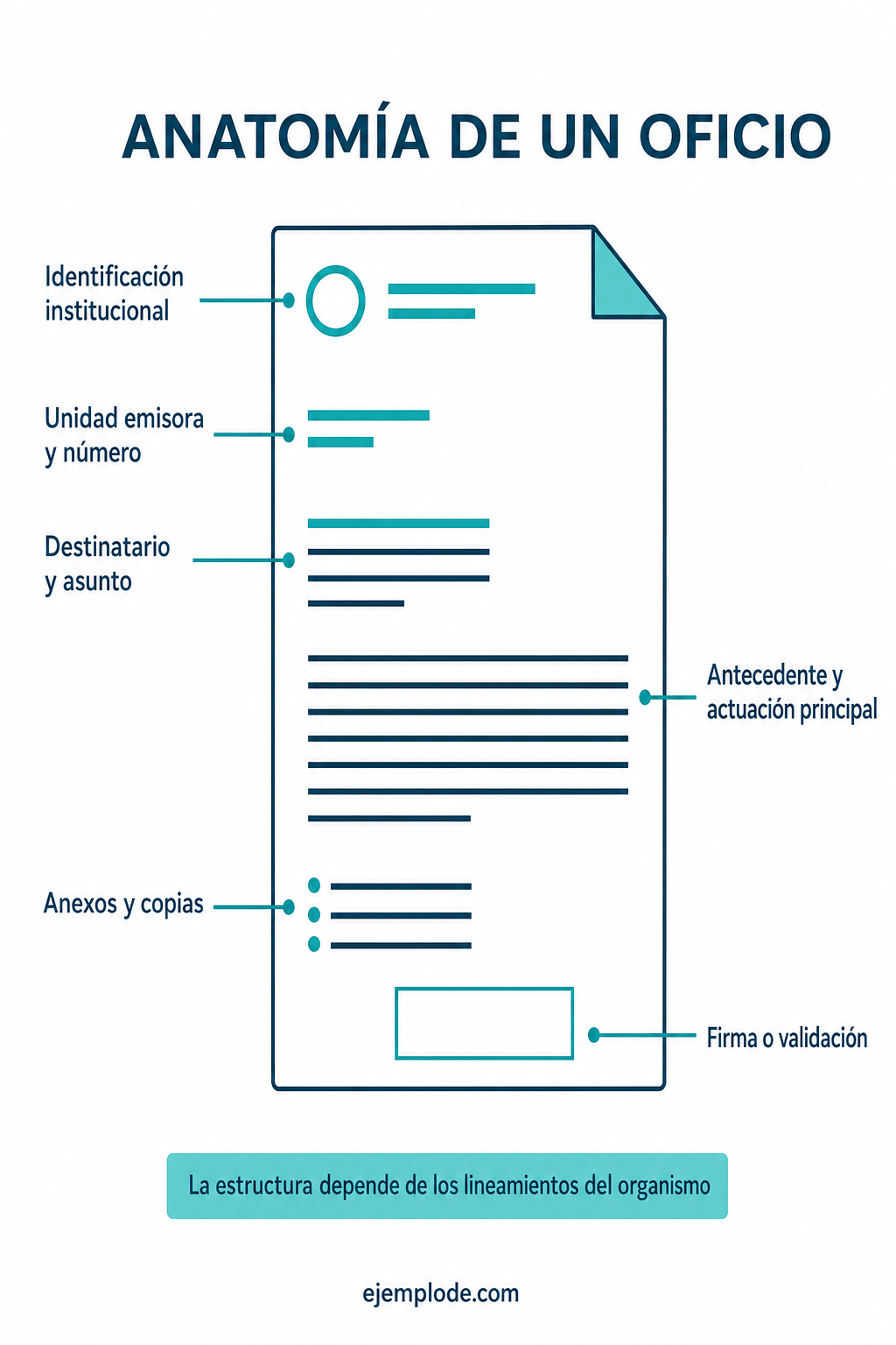 Anatomía de una carta oficio con institución, destinatario, asunto, contenido y validación