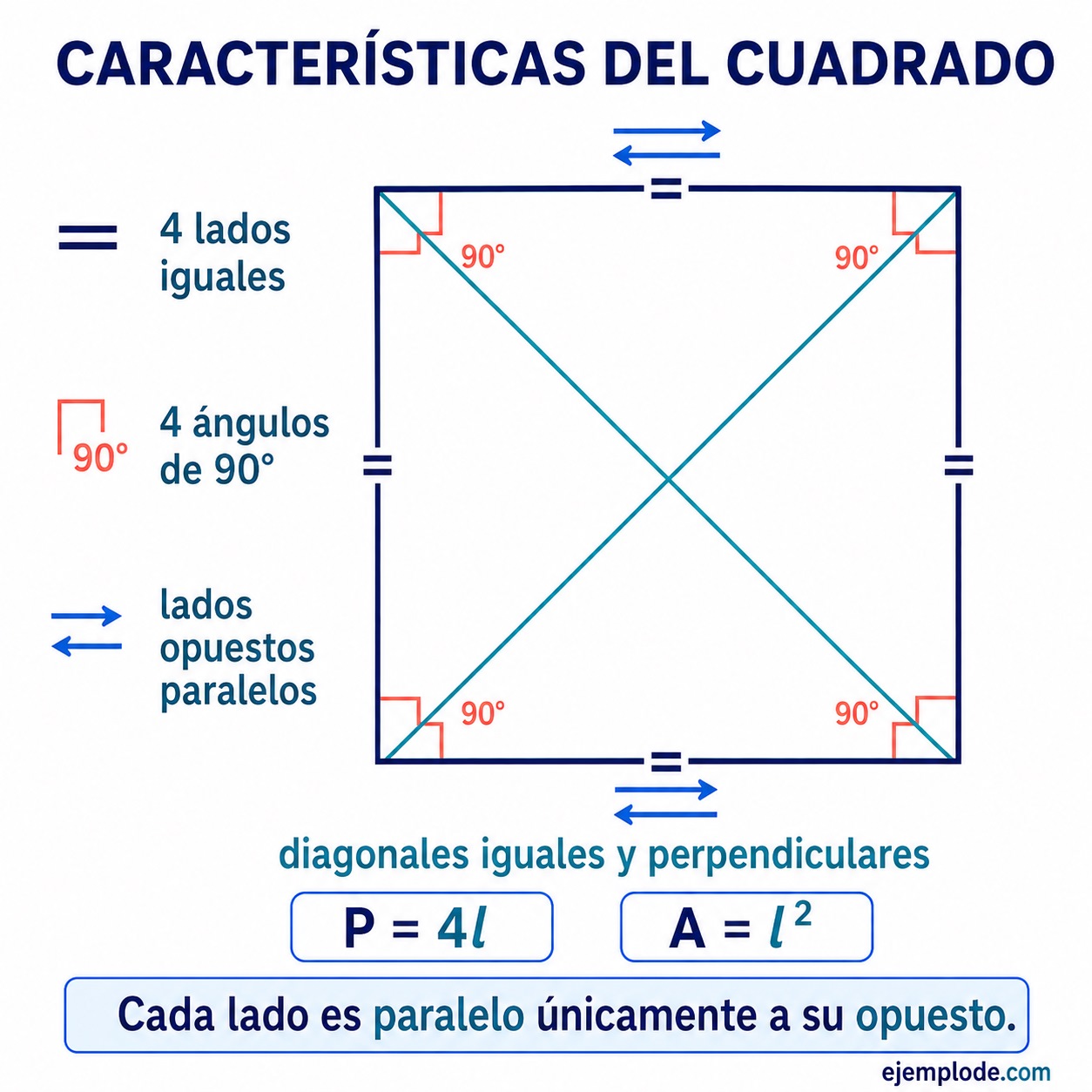 Características del Cuadrado — visual 1