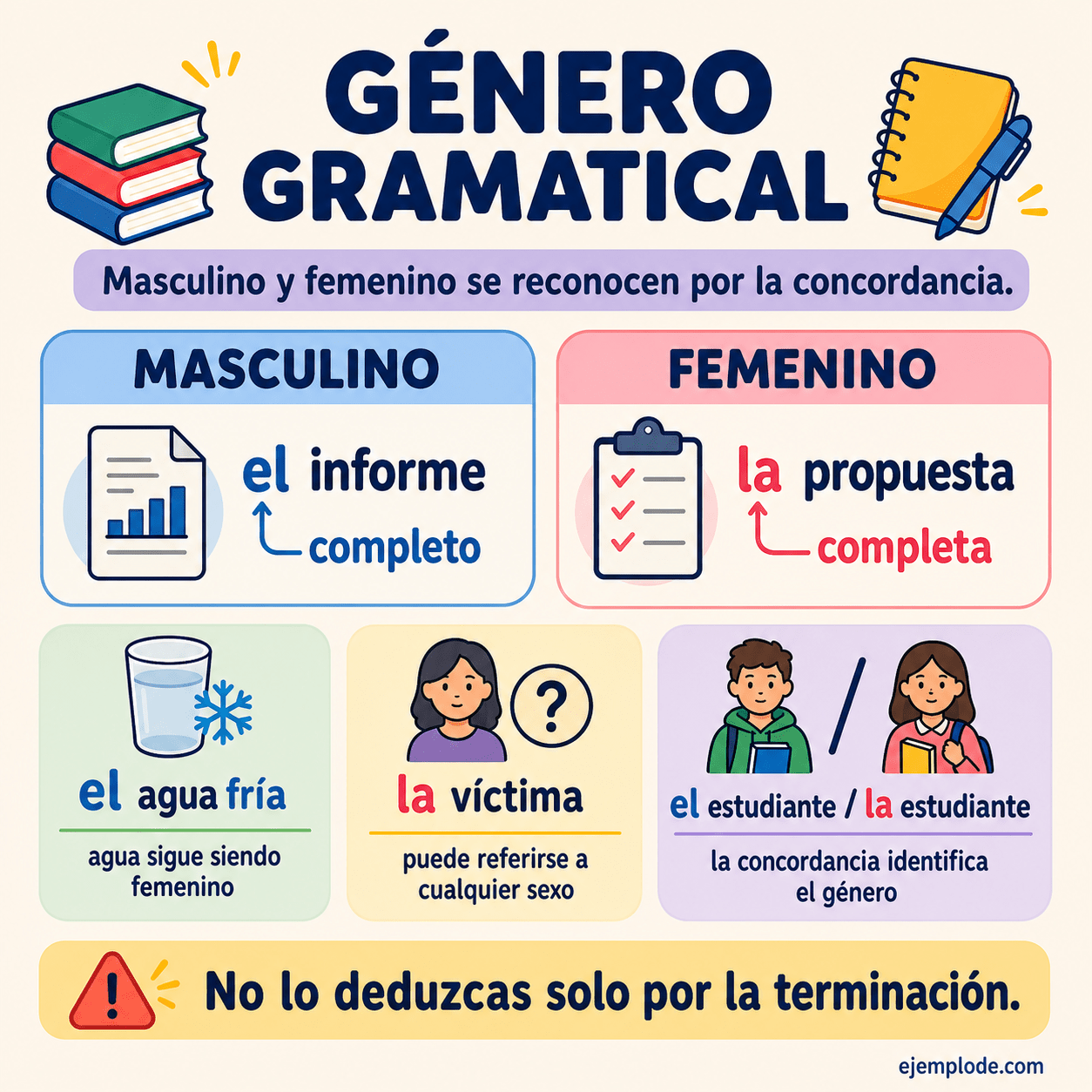 Infografía educativa sobre Género gramatical: masculino, femenino y concordancia con ejemplos y claves de reconocimiento