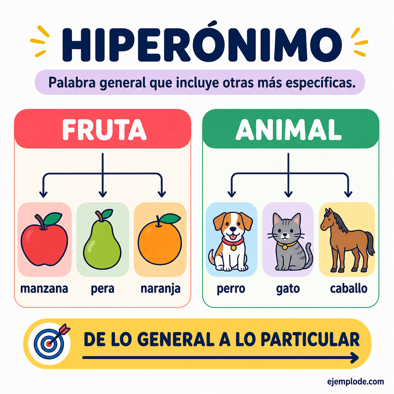 Infografía educativa sobre Hiperónimo con ejemplos y claves de reconocimiento