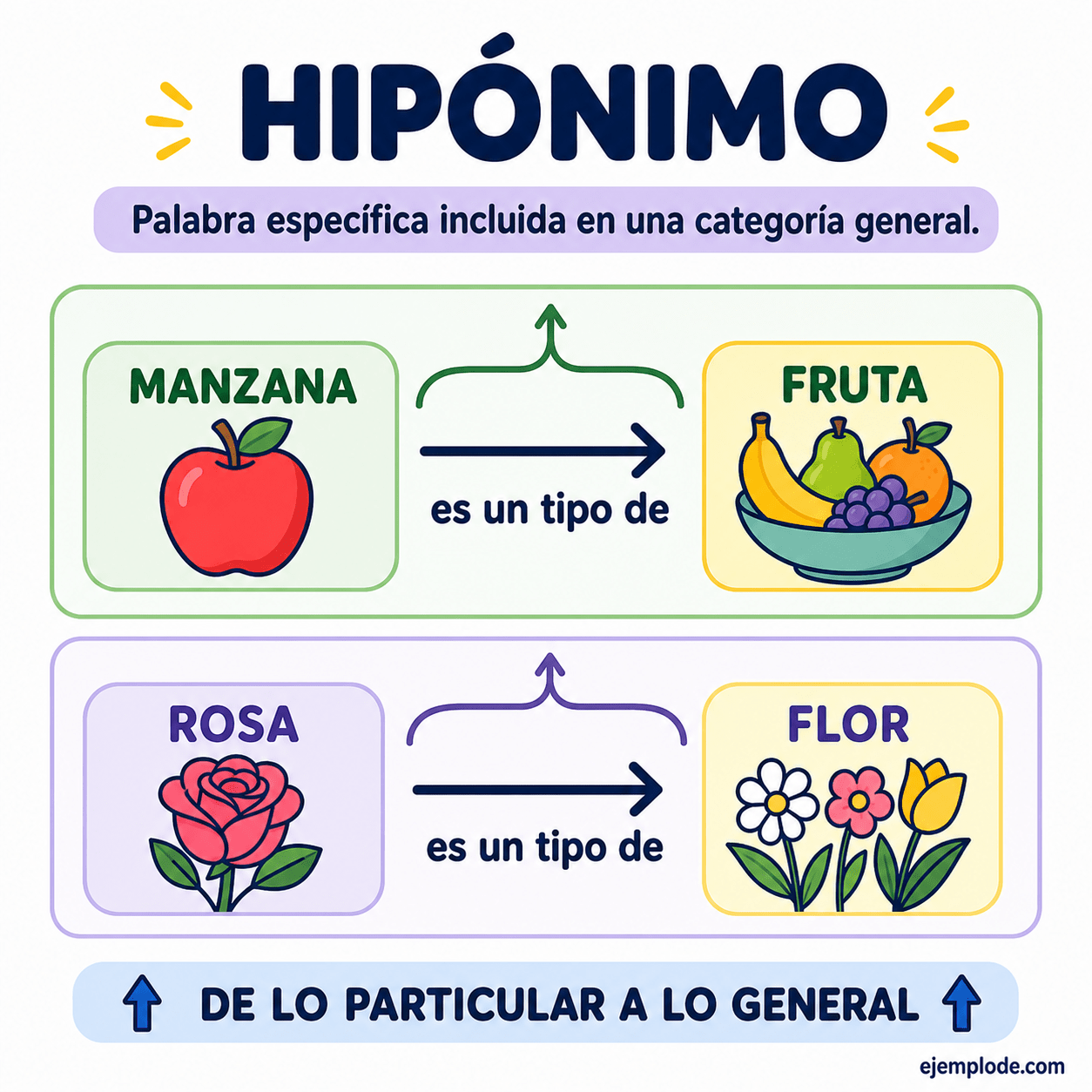 Infografía educativa sobre Hipónimo con ejemplos y claves de reconocimiento