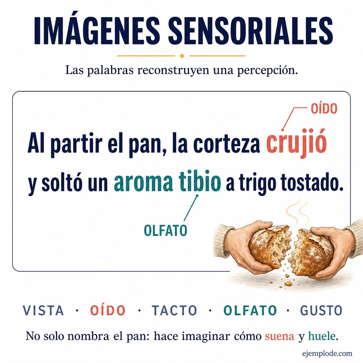 Ejemplos literarios de imágenes visuales, auditivas, táctiles, olfativas y gustativas
