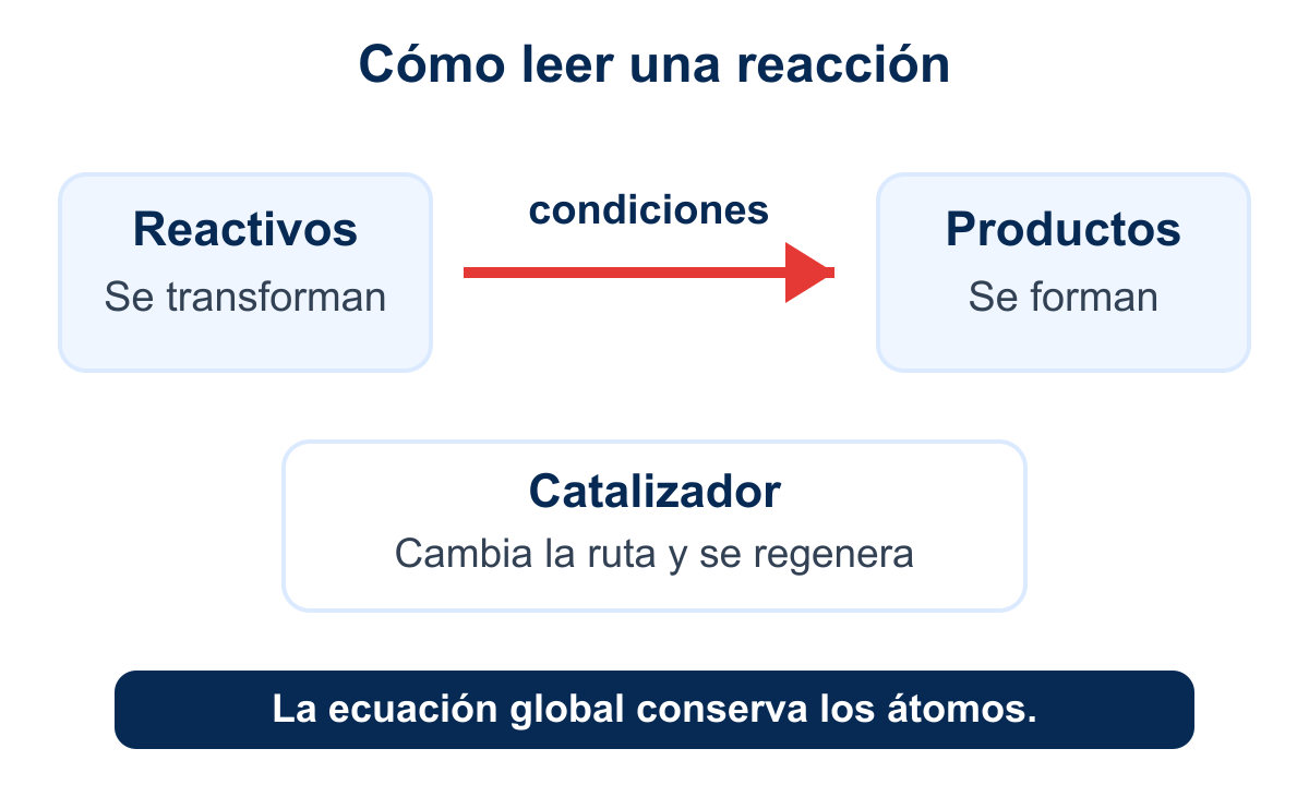 Mapa para leer una reacción química.