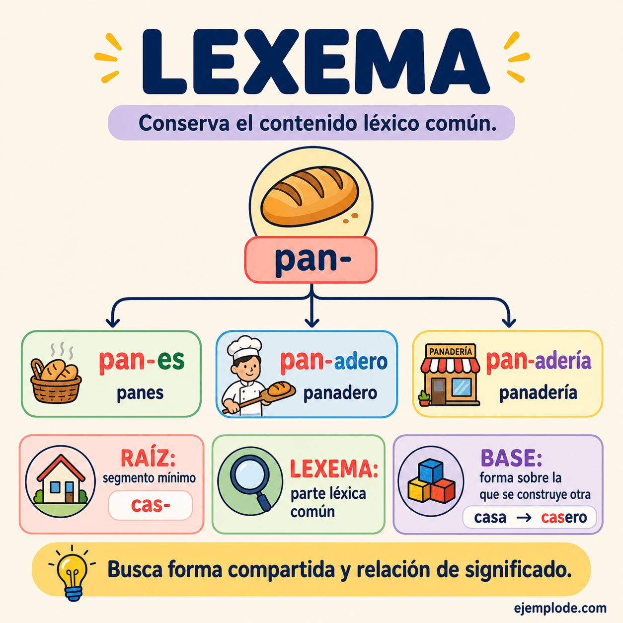 Infografía educativa sobre Lexema con ejemplos y claves de reconocimiento