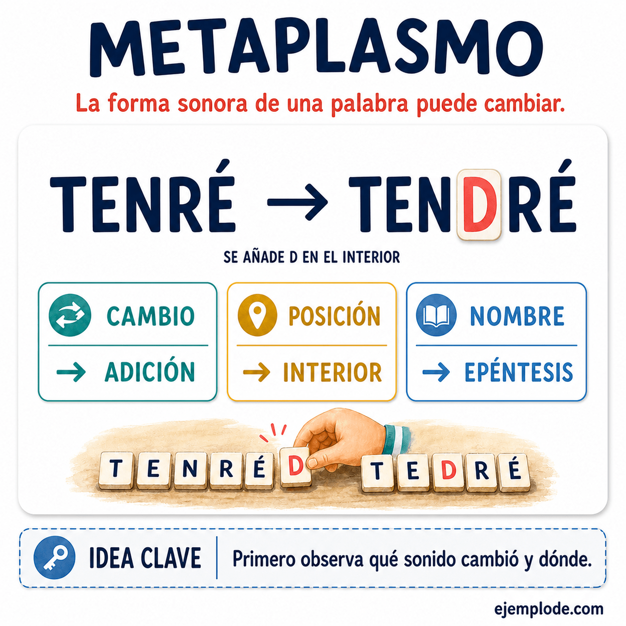 Infografía educativa sobre Metaplasmo con ejemplos y claves de reconocimiento