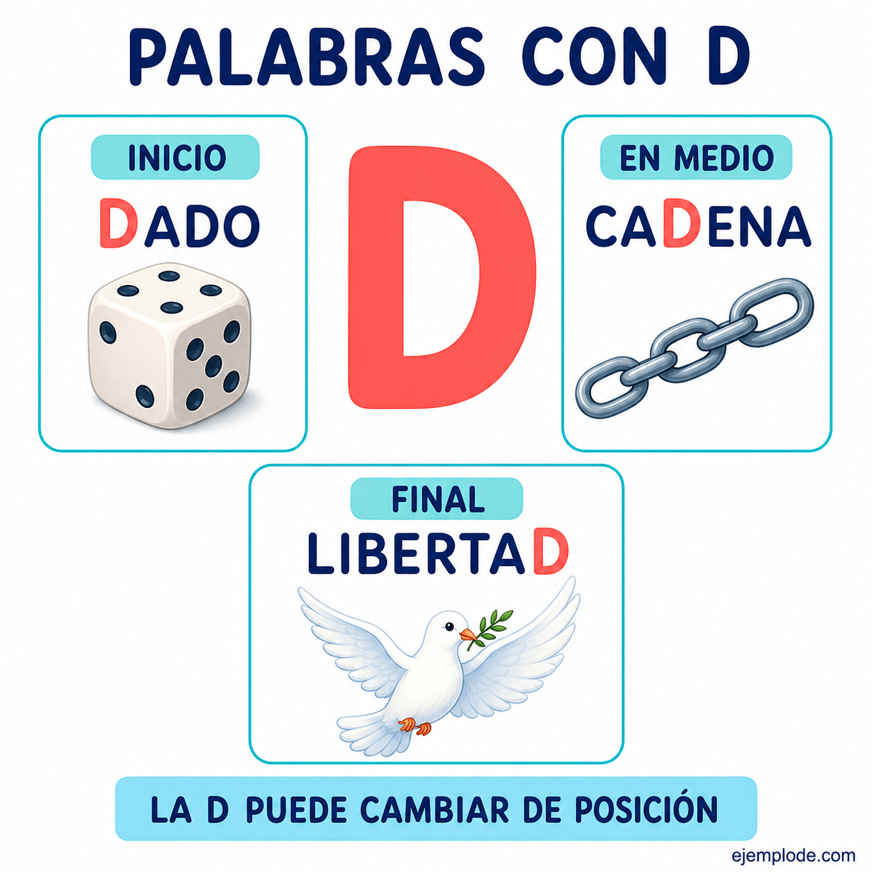 Explicación visual de Palabras con d con un ejemplo didáctico