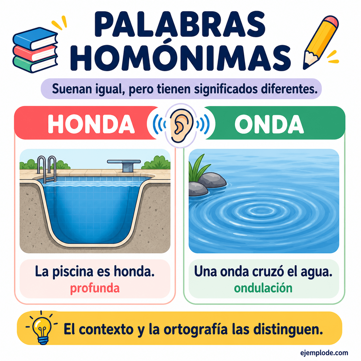 Infografía educativa sobre Palabras homónimas con ejemplos y claves de reconocimiento