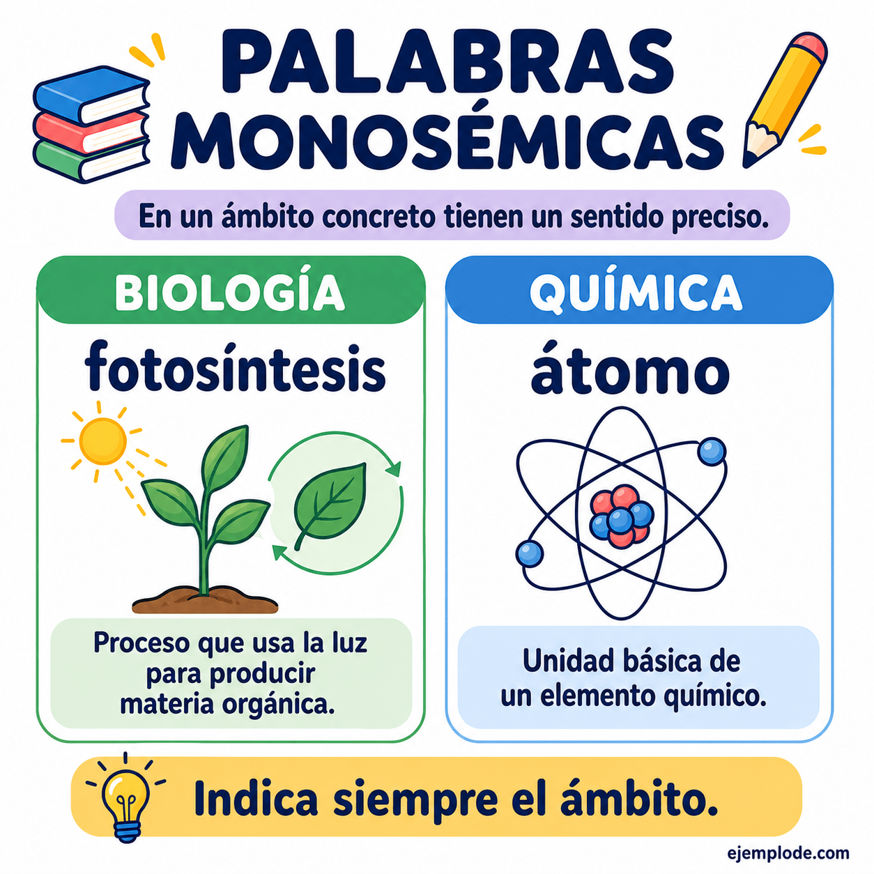 Infografía educativa sobre Palabras monosémicas con ejemplos y claves de reconocimiento