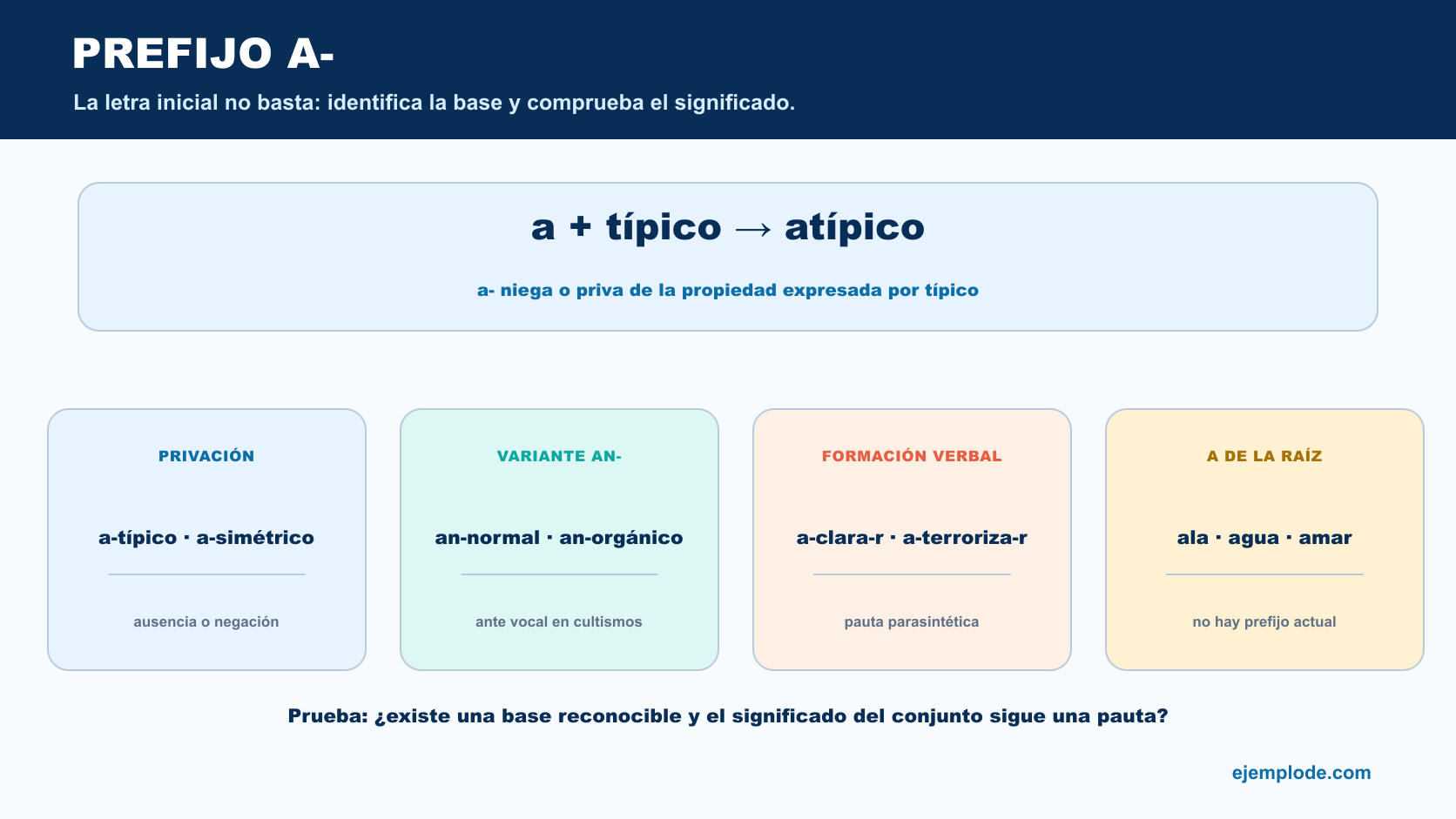 Comparación entre prefijo privativo a, variante an, formación parasintética y a inicial de la raíz