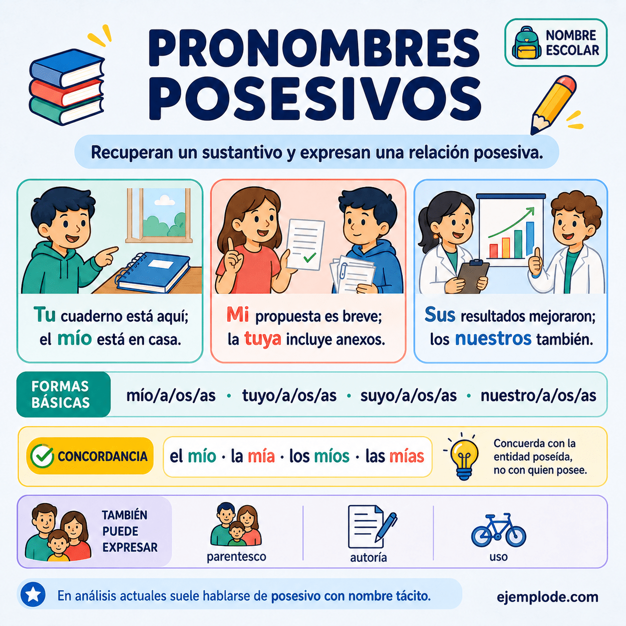 Infografía educativa sobre Pronombres posesivos con ejemplos y claves de reconocimiento