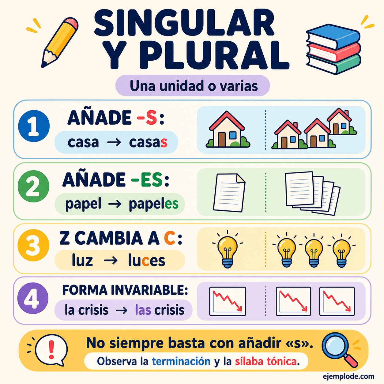 Infografía educativa sobre Palabras en singular y plural con ejemplos y claves de reconocimiento