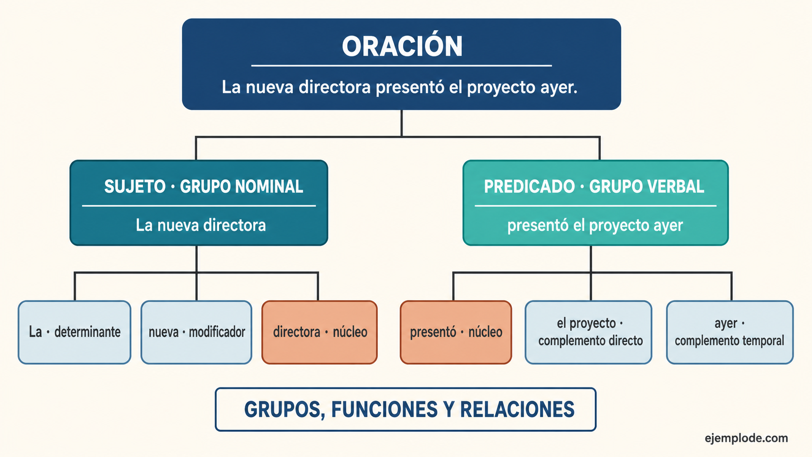 Árbol sintáctico de La nueva directora presentó el proyecto ayer, dividido en sujeto, predicado, núcleos y complementos