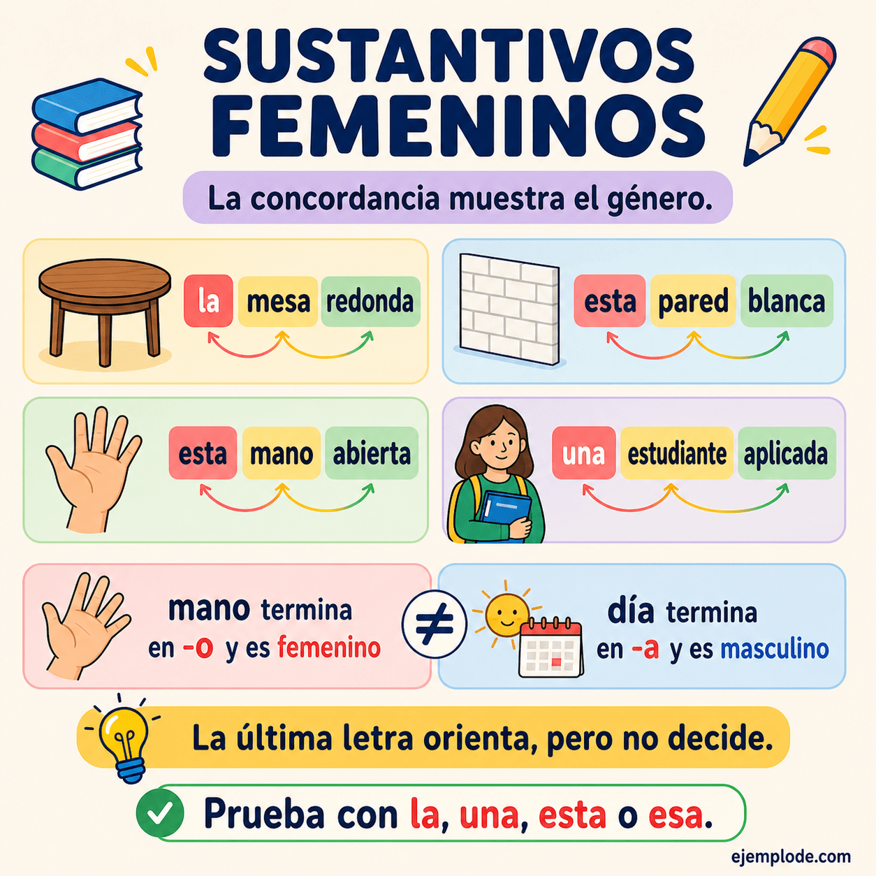 Ejemplos la mesa redonda, la pared alta y la mano abierta para reconocer el género femenino