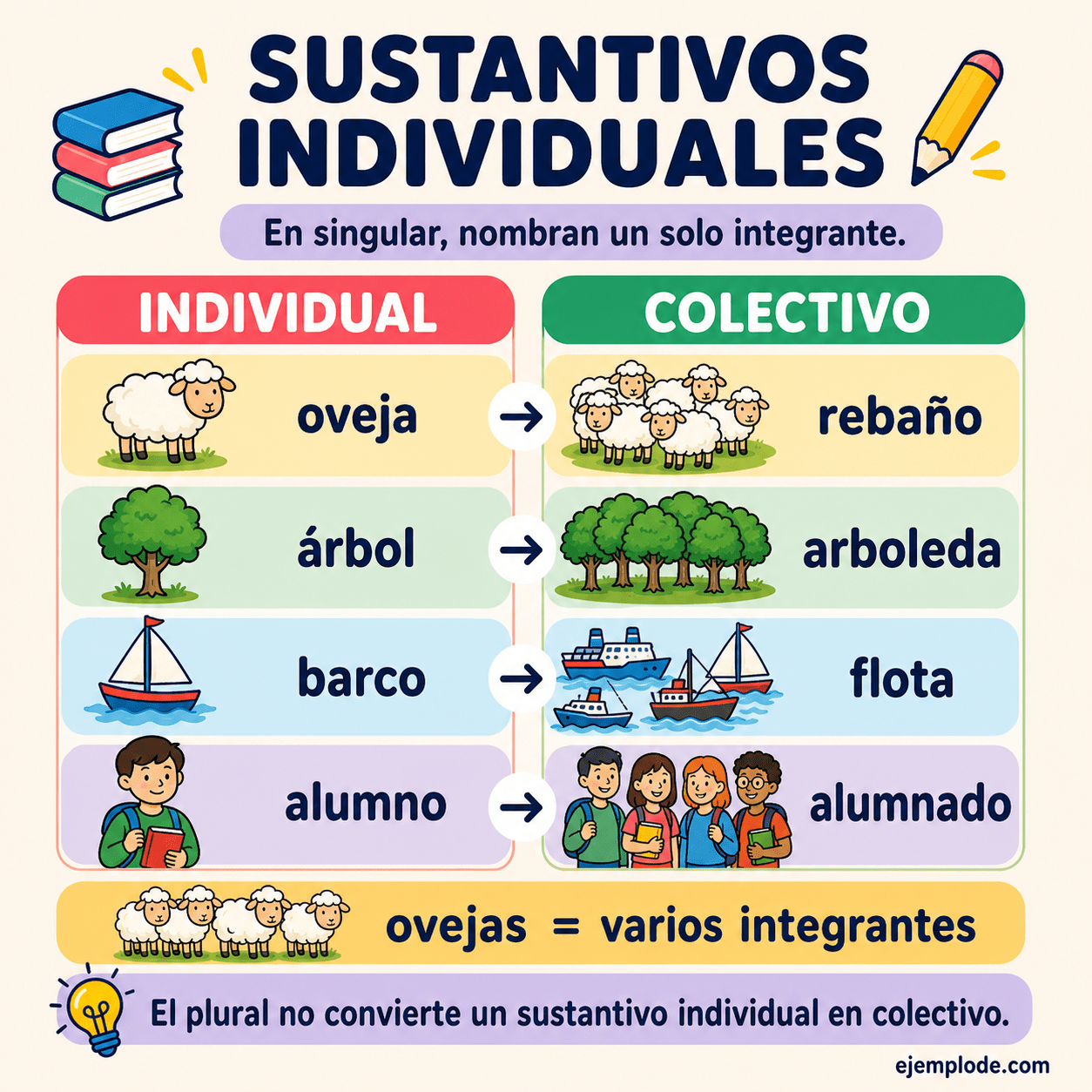 Infografía educativa sobre Sustantivos individuales con ejemplos y claves de reconocimiento