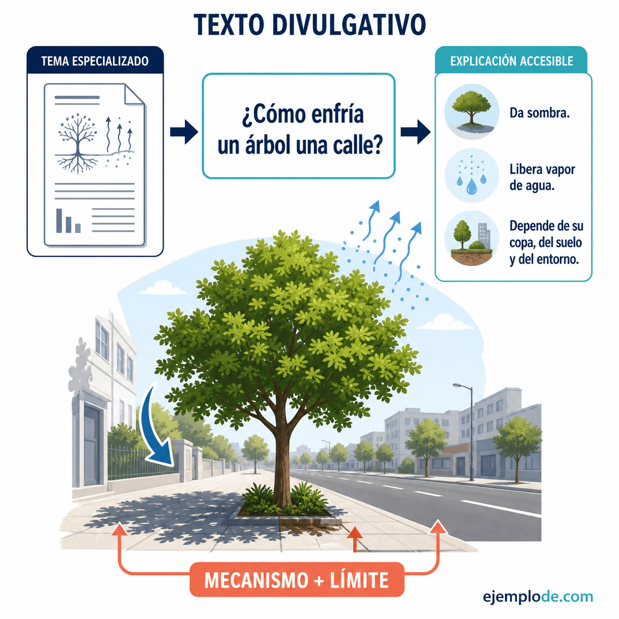 Explicación visual de Texto divulgativo con un ejemplo didáctico
