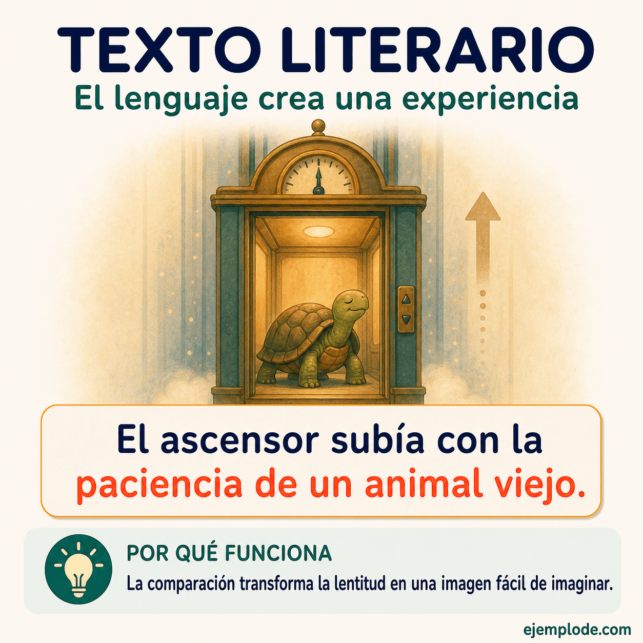 Explicación visual de Texto literario con un ejemplo didáctico