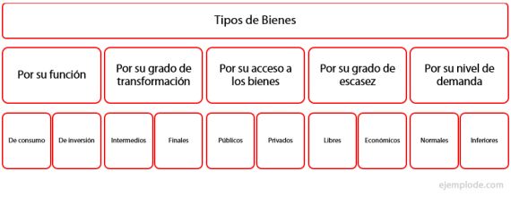 Los bienes son tangibles.