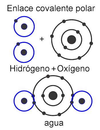 Representación didáctica de enlaces covalentes polares en una molécula de agua.