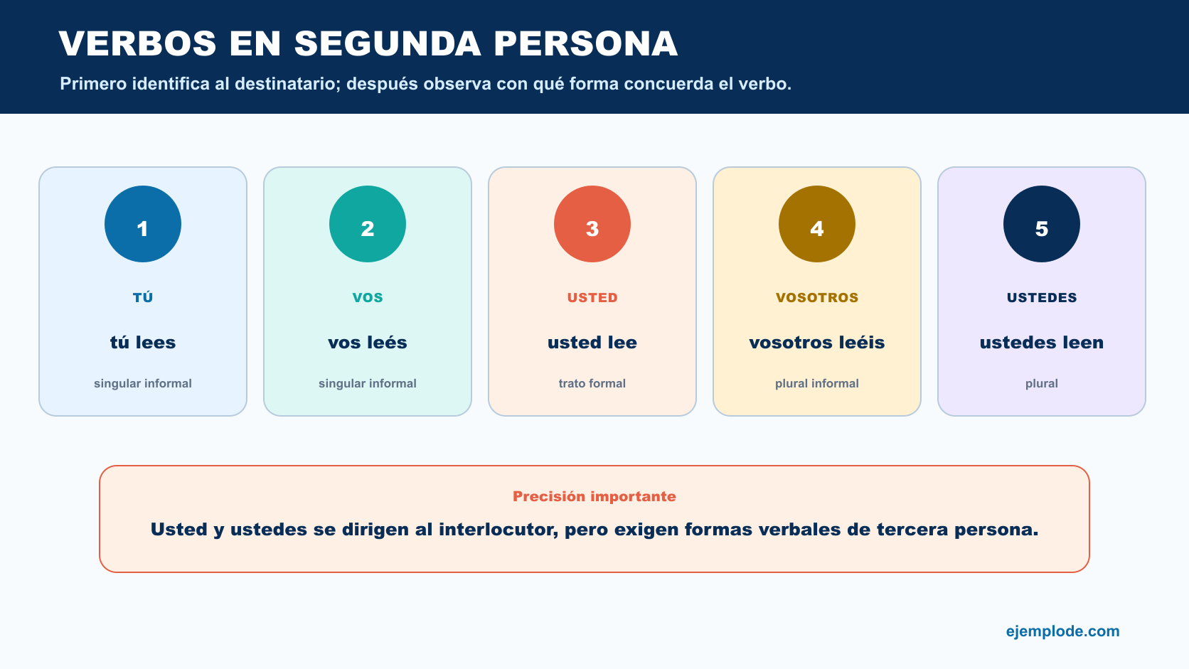 Formas tú lees, vos leés, usted lee, vosotros leéis y ustedes leen