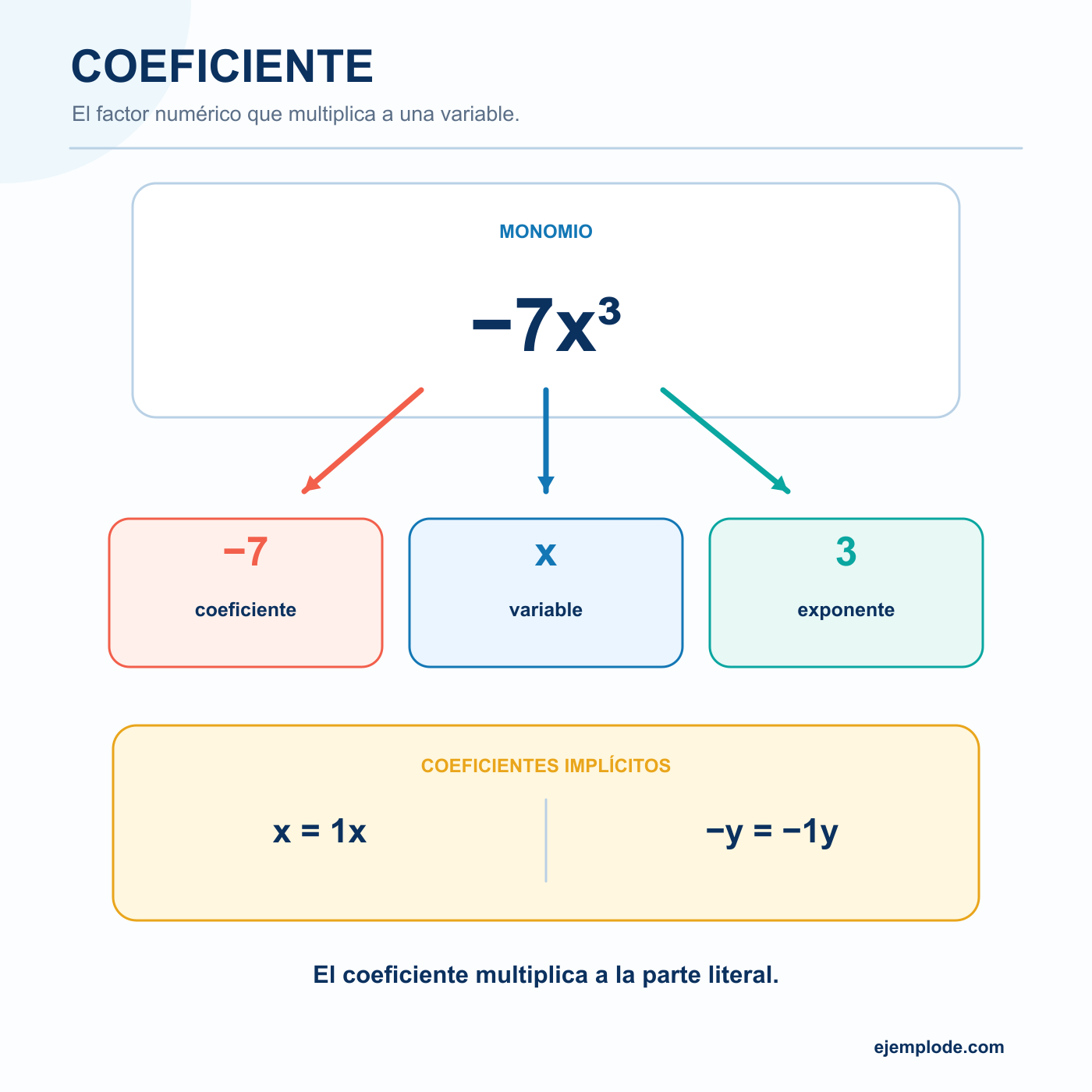 Coeficiente: explicación visual paso a paso