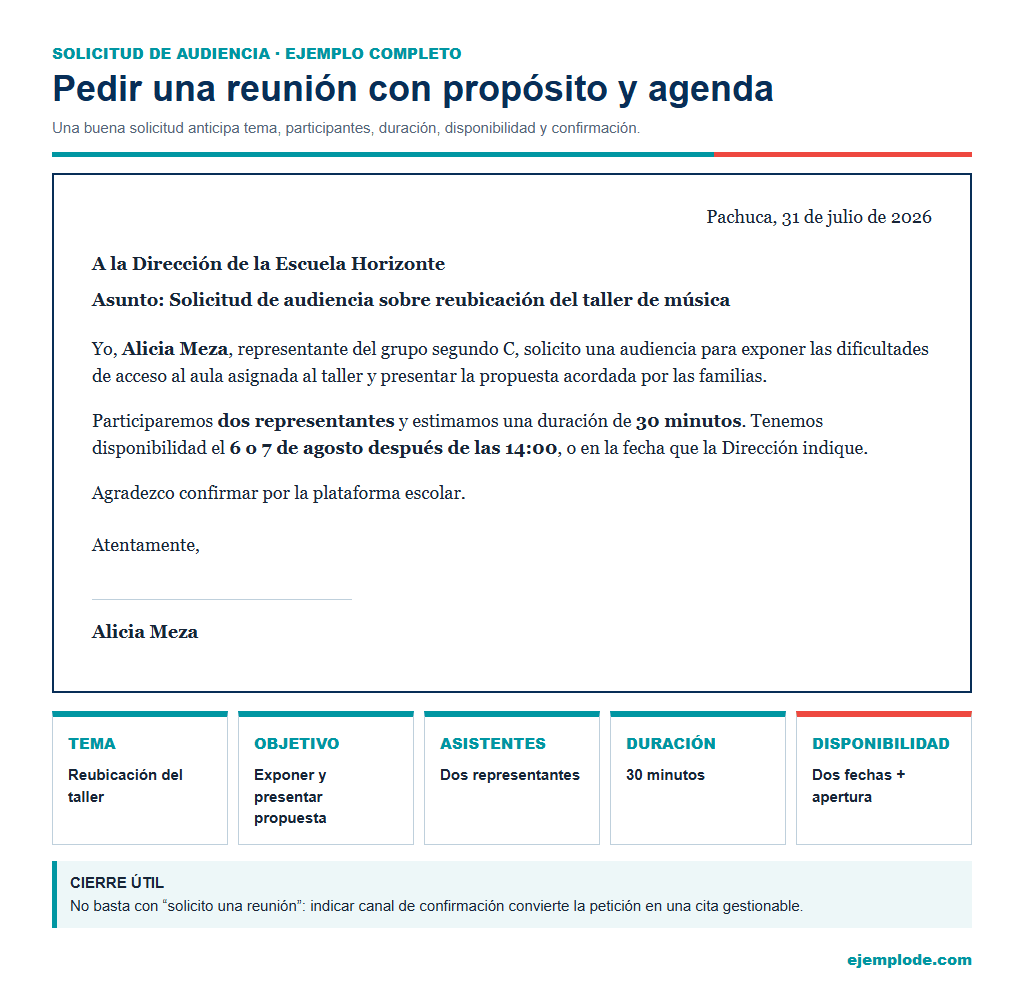Solicitud de audiencia: tema, participantes, duración, disponibilidad y confirmación.